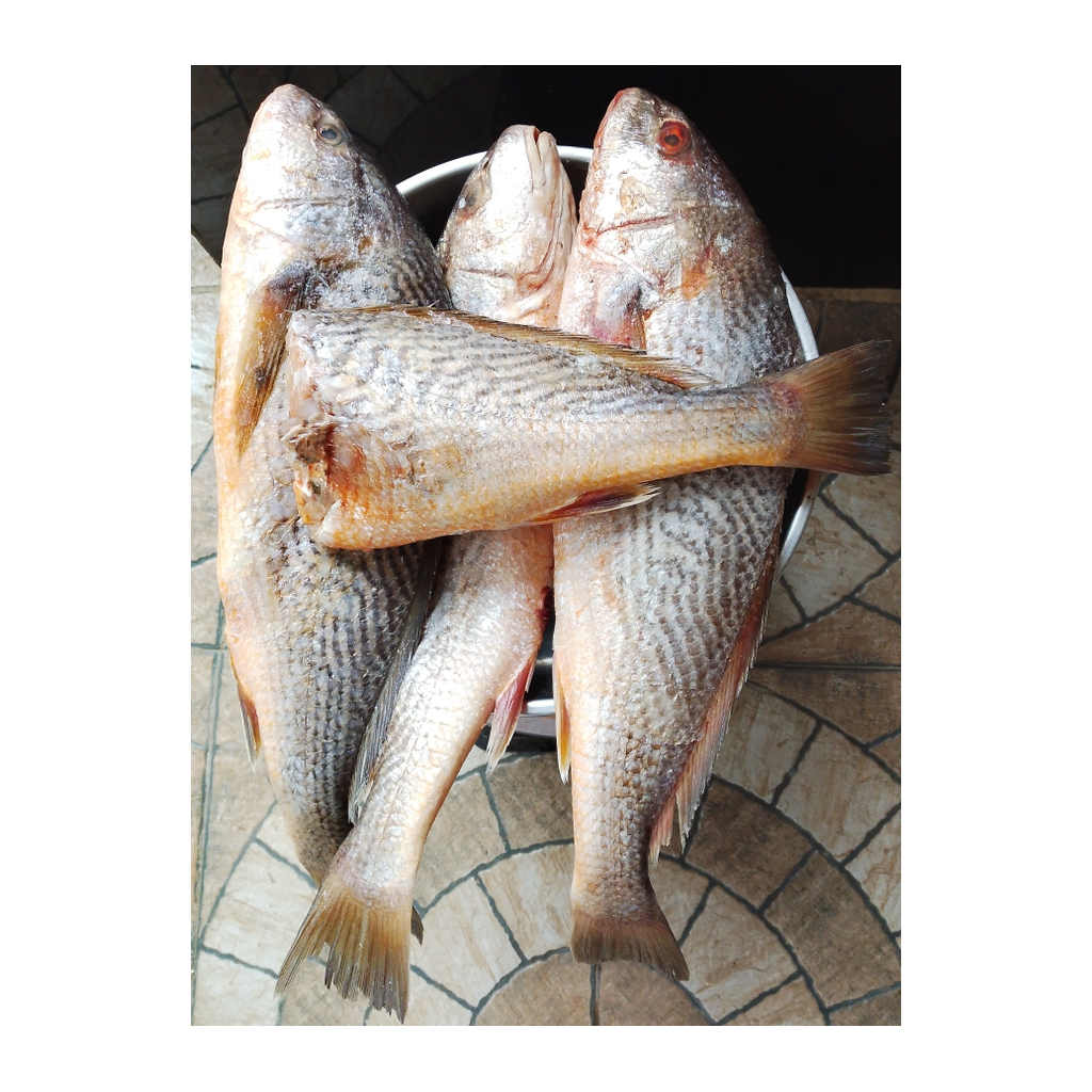 Sosso Fish Box 3kg