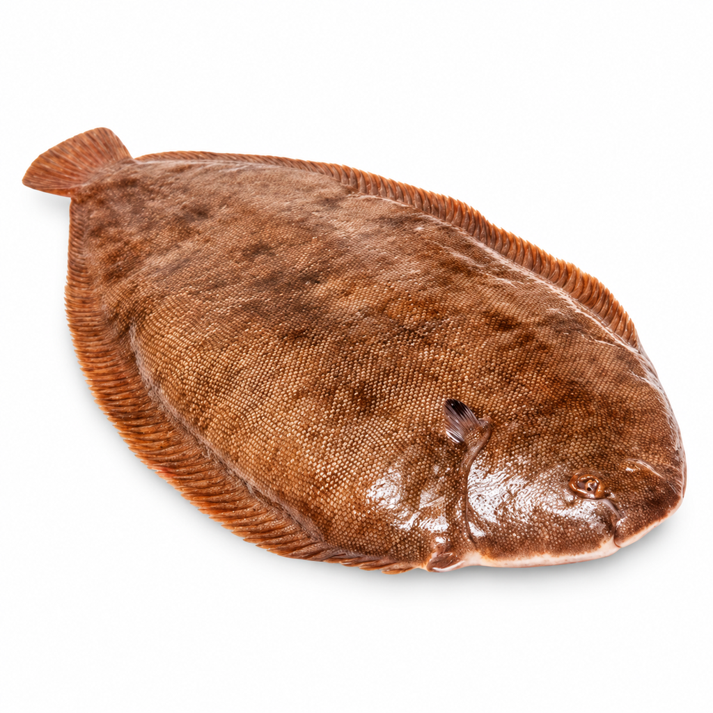 Sole Fish 1kg