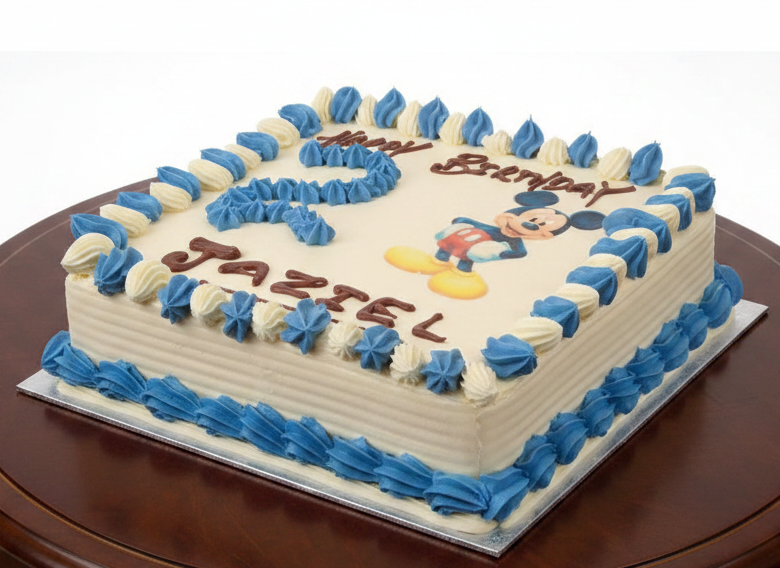 Disney Cake – DC21