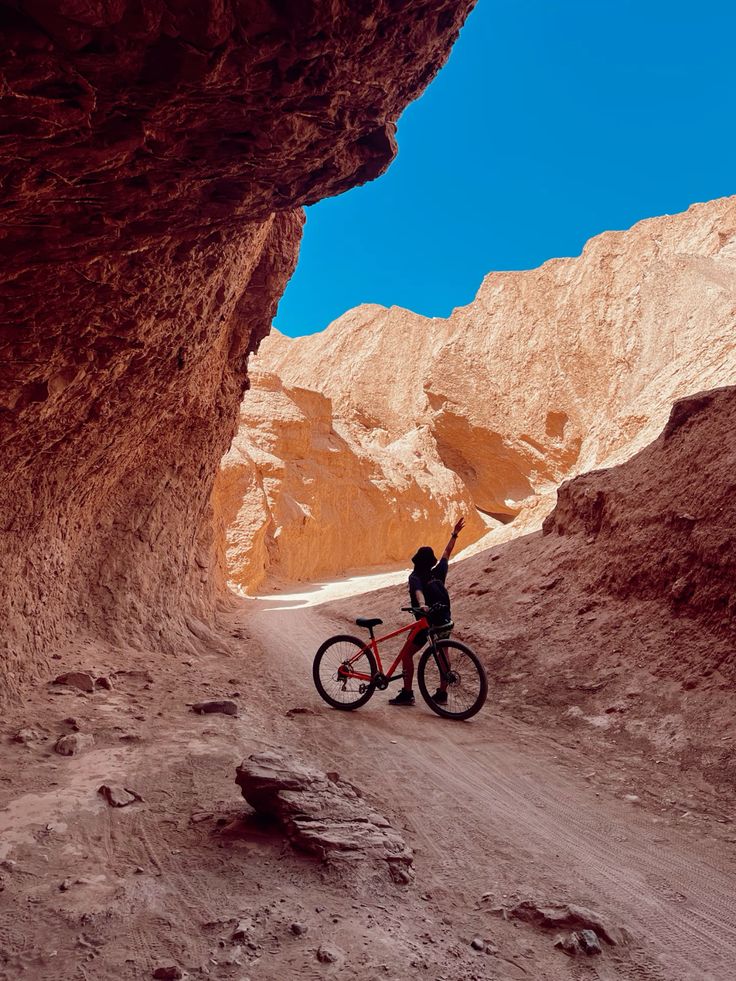 Bike Tour