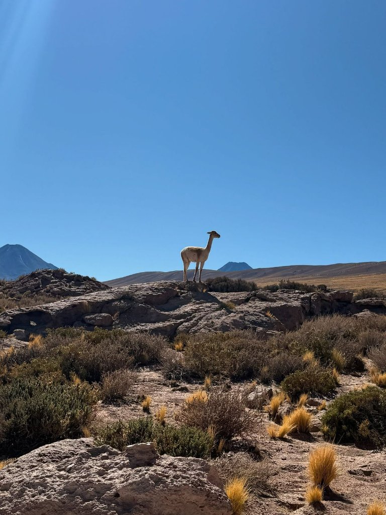 Ruta De Los Salares