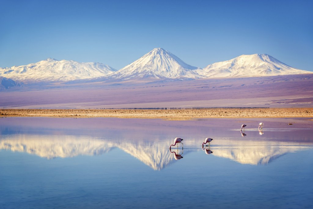 Lagunas Altiplanicas