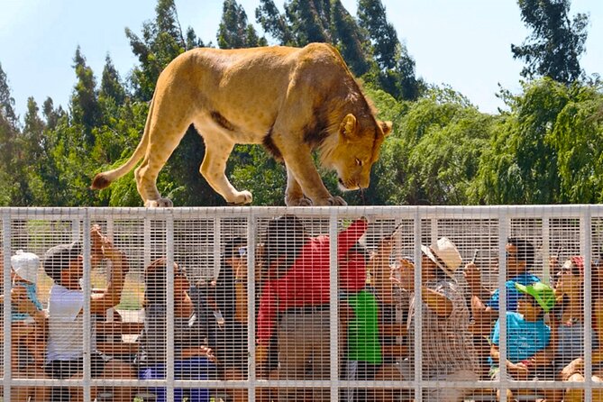 Parque Safari