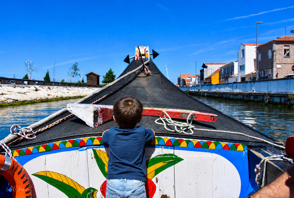 Aveiro canals