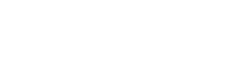 Reinero Service