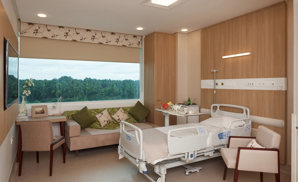 Meitra Hospital premium patient suite with warm wood paneling, comfortable seating area with sage-green accent pillows, and natural light from panoramic windows overlooking greenery.