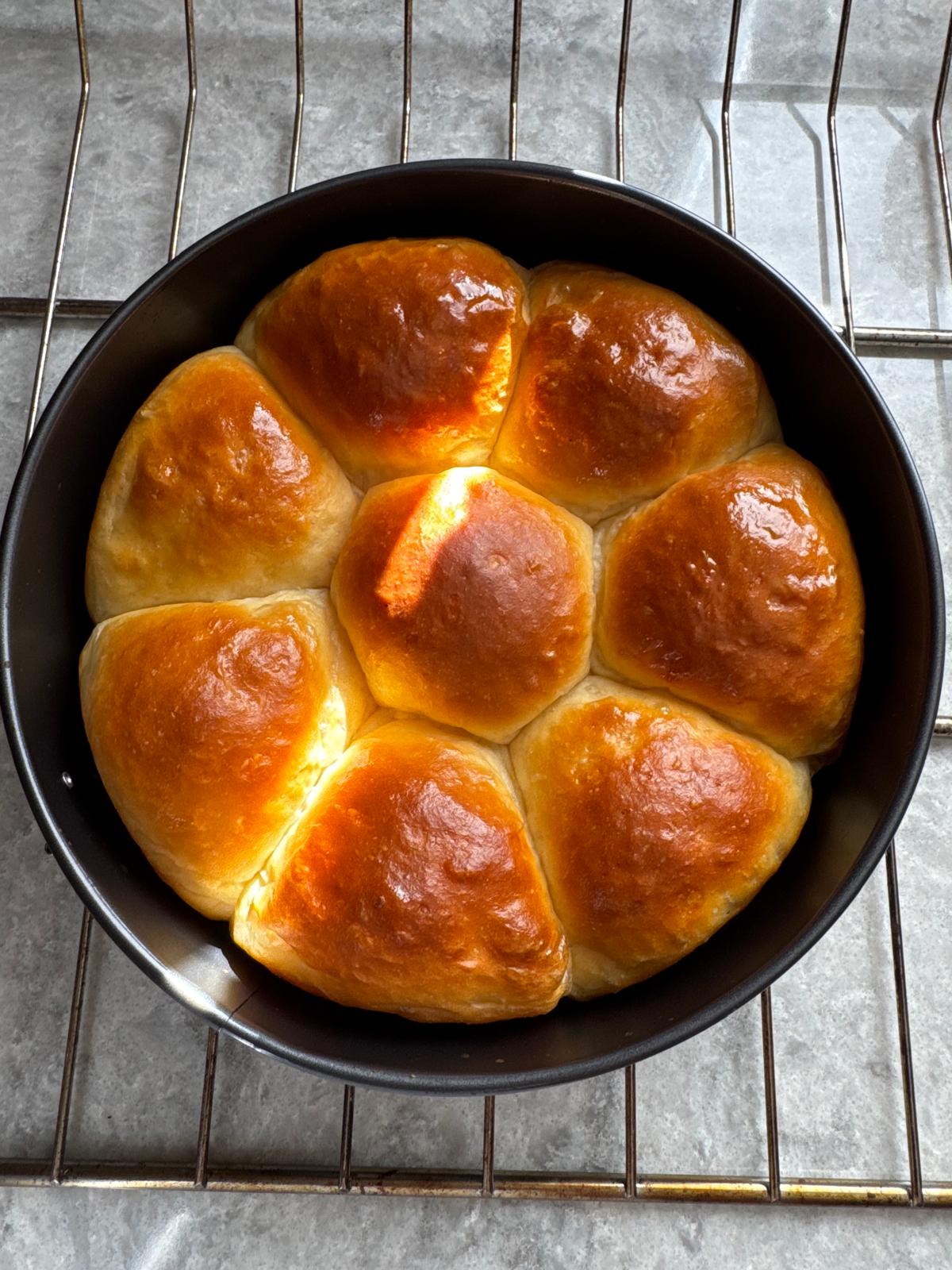 Milk & Honey Dinner Rolls