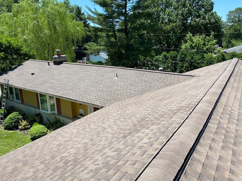 Asphalt Shingle Replacement