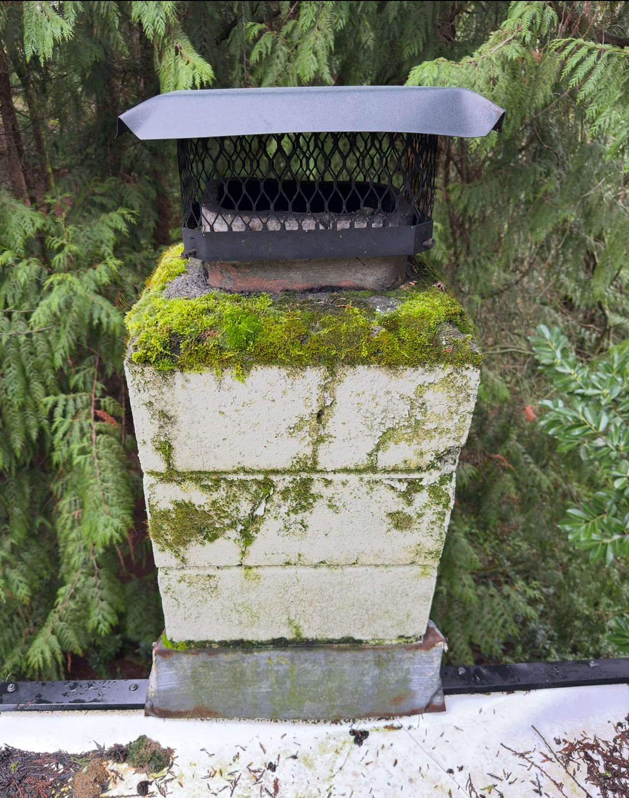 Chimney stack with moss growth, weathered mortar, and rusted flashing showing warning signs of chimney repair needs