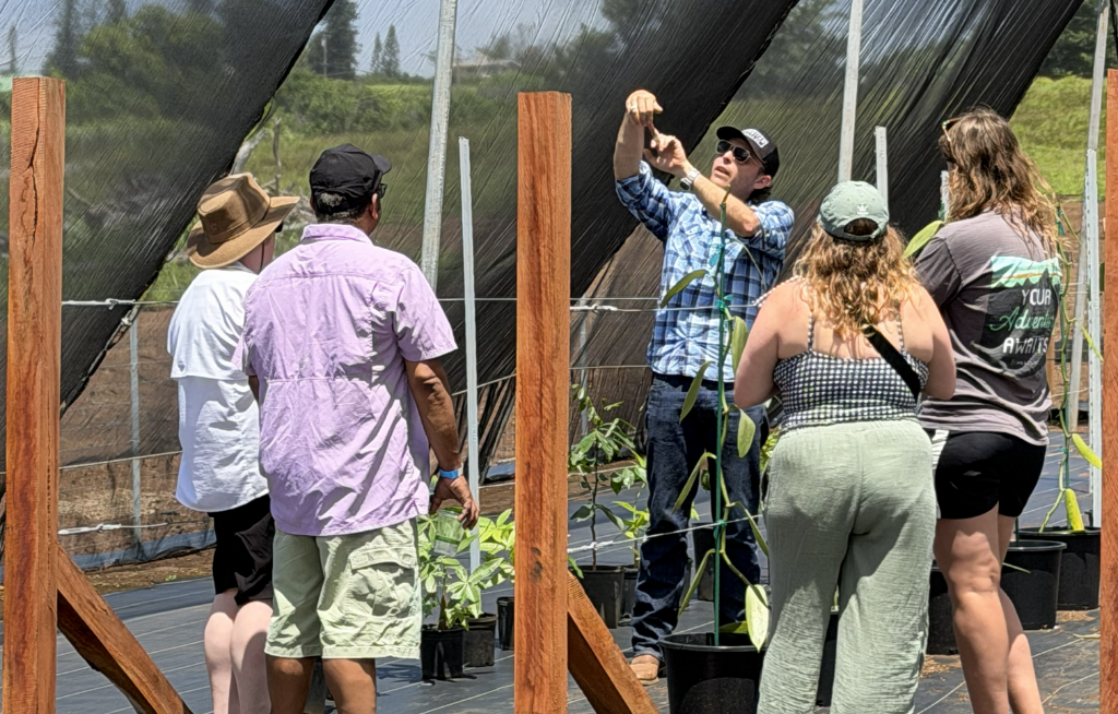 Farm tour guide explaining vanilla cultivation to visitors