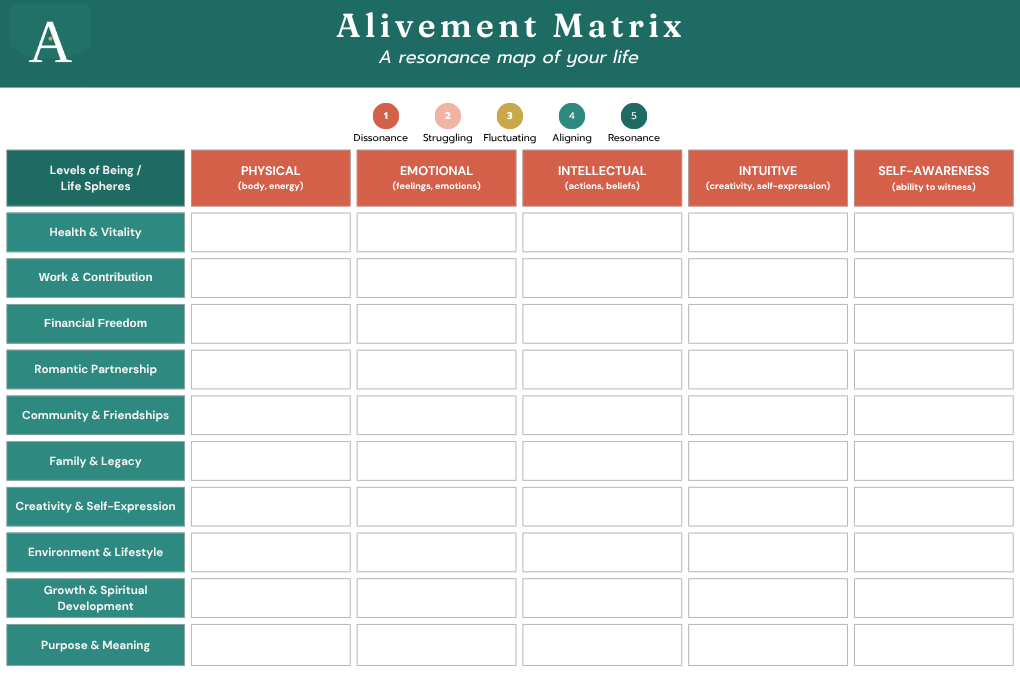 A matrix map on paper representing life spheres and inner levels