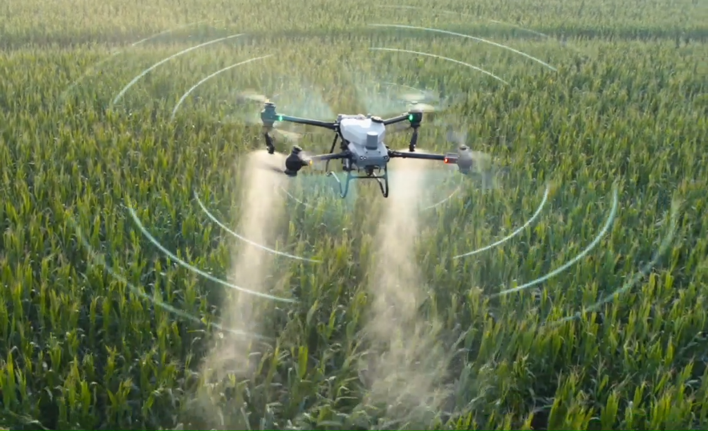 Drone spraying crops