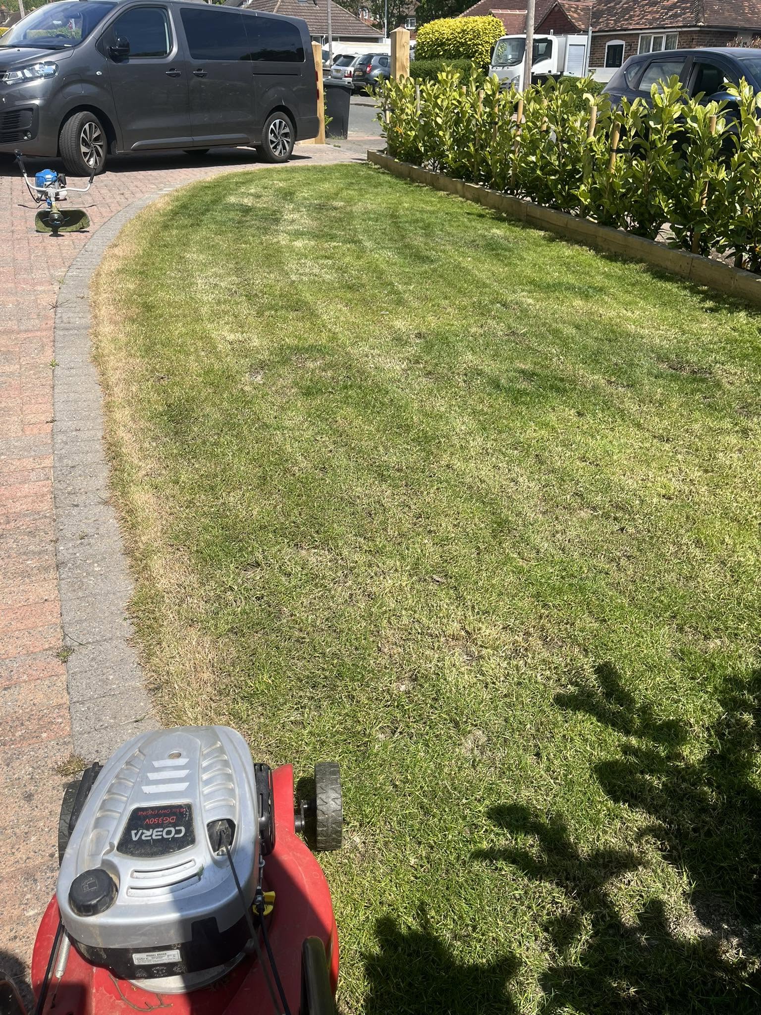 Beautiful garden