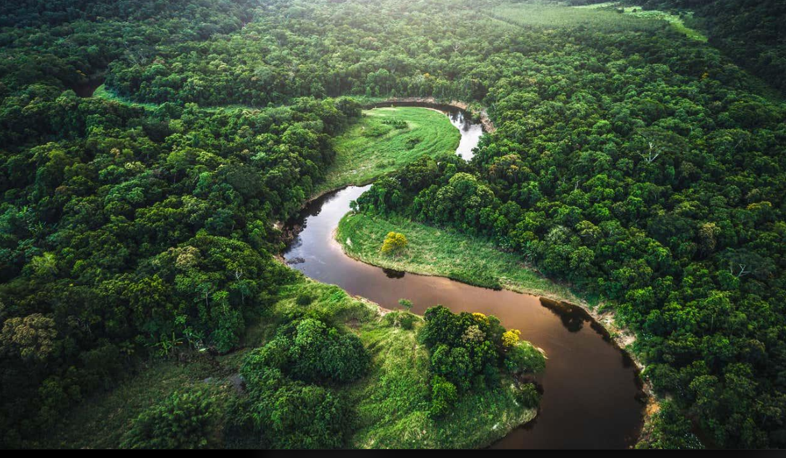 A brown river winding through dense Amazon rainforest canopy