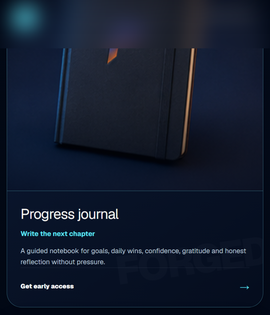 Progress journal