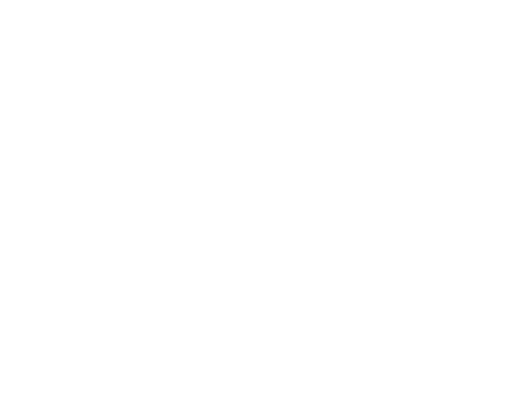 Andia