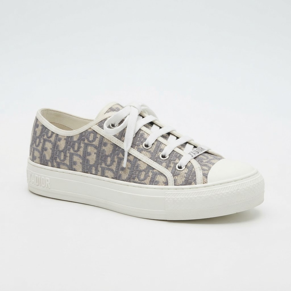 Dior Valk'n'Dior Sneaker (Grey Oblique)