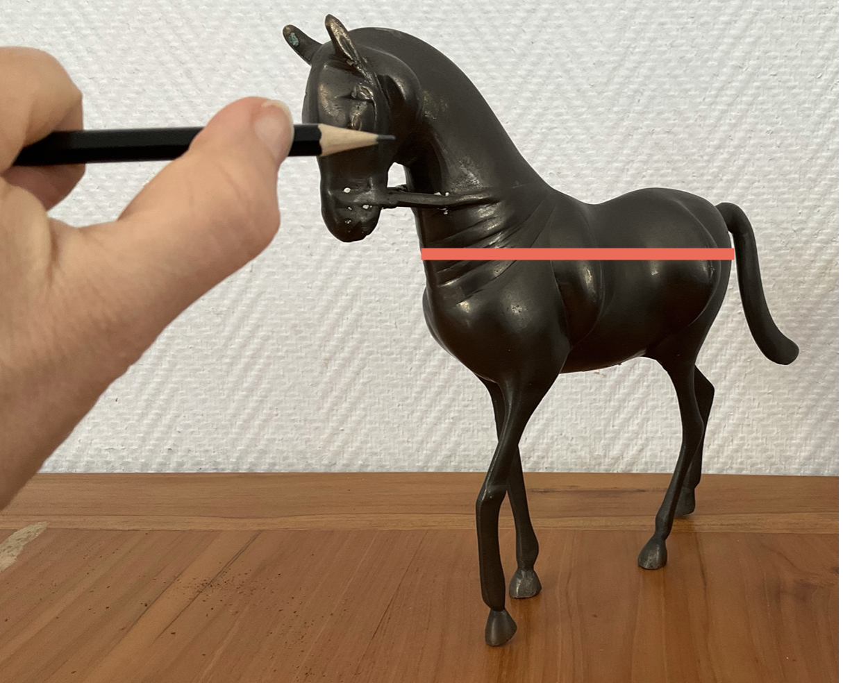 Observation d'un cheval en sculpture pour apprendre à dessiner
