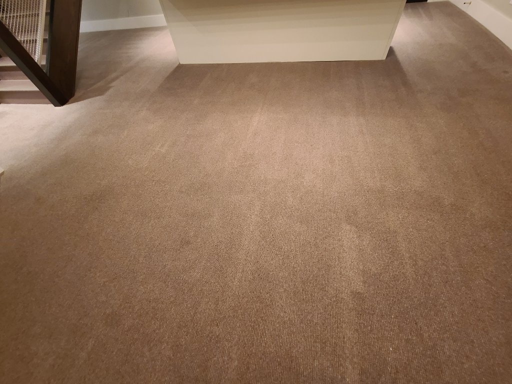 Freshly cleaned carpet in a Calgary home