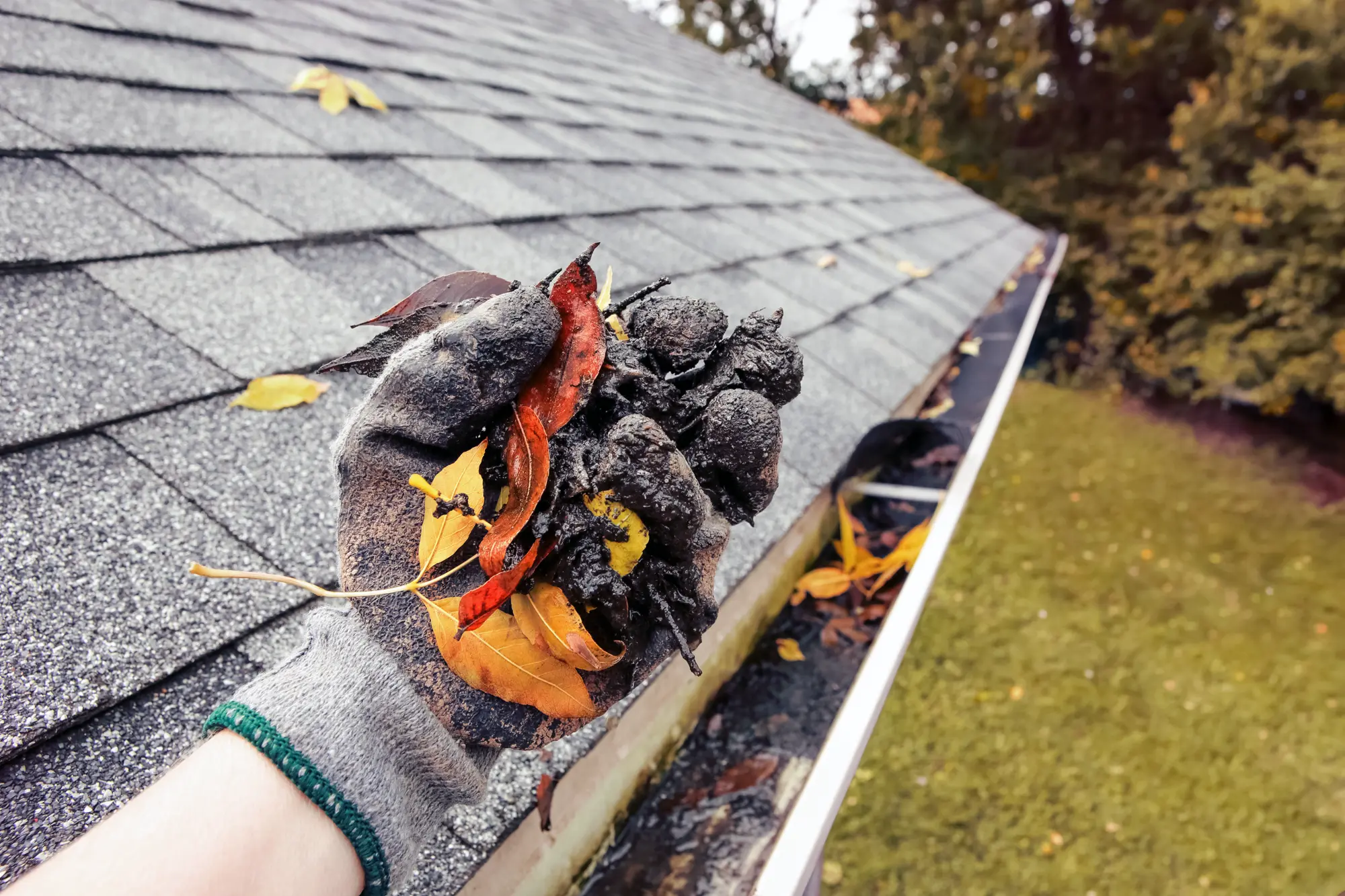 Property Maintenance