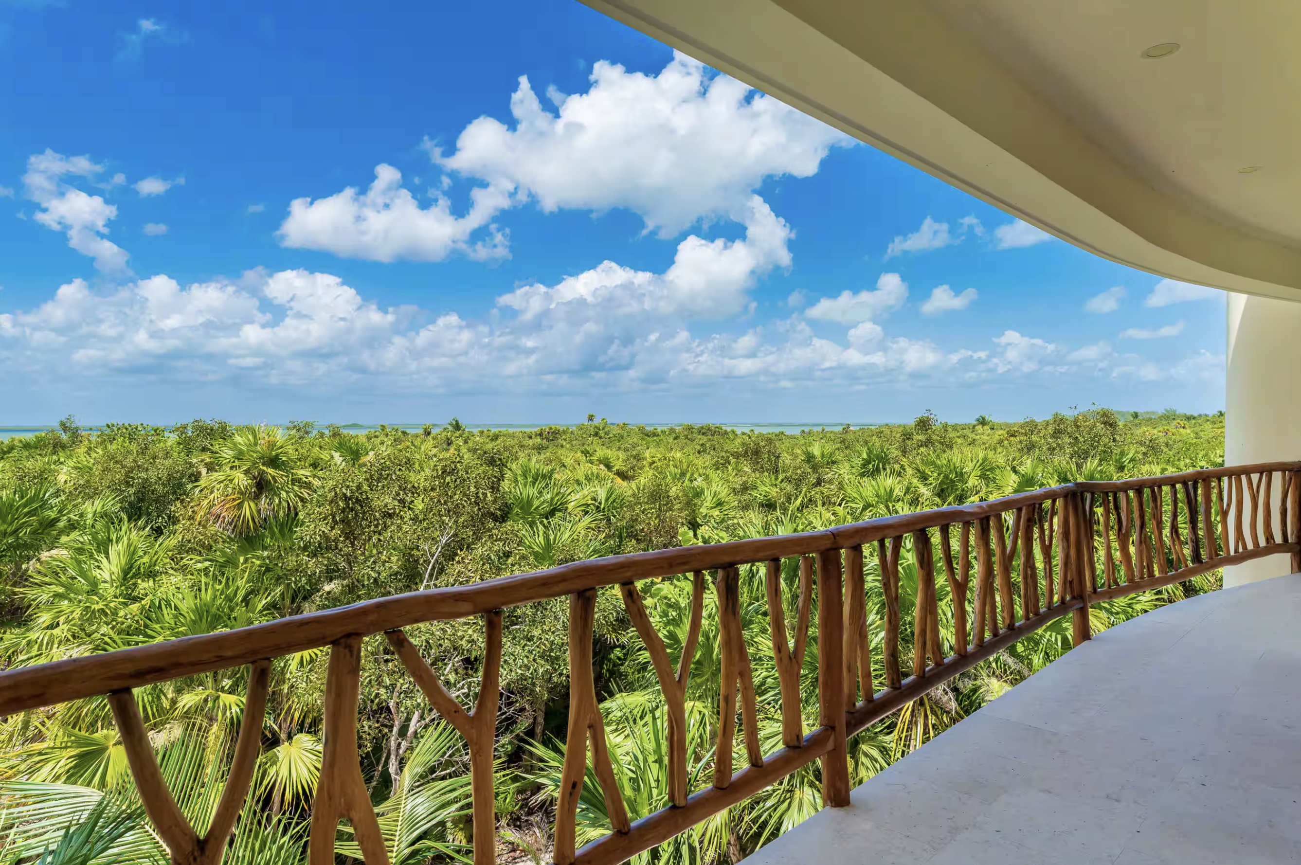 Balcony overlooking the palm canopy