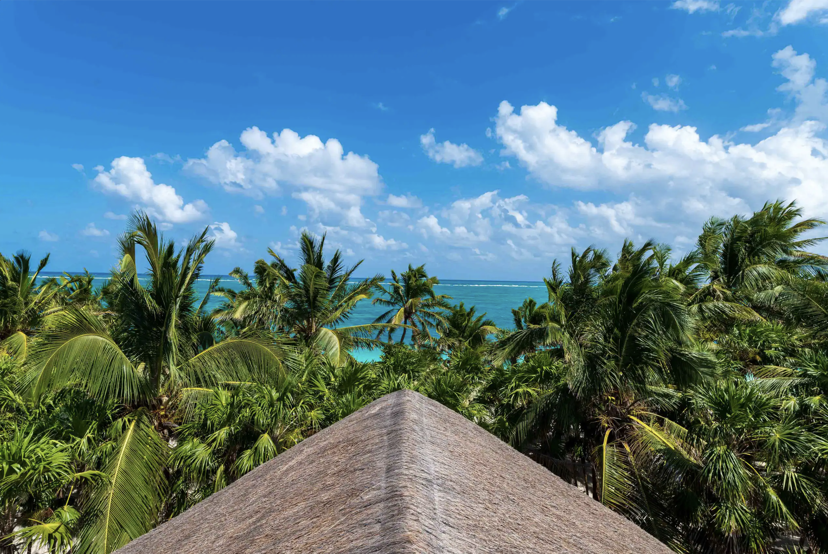 Thatched roof framing the sea