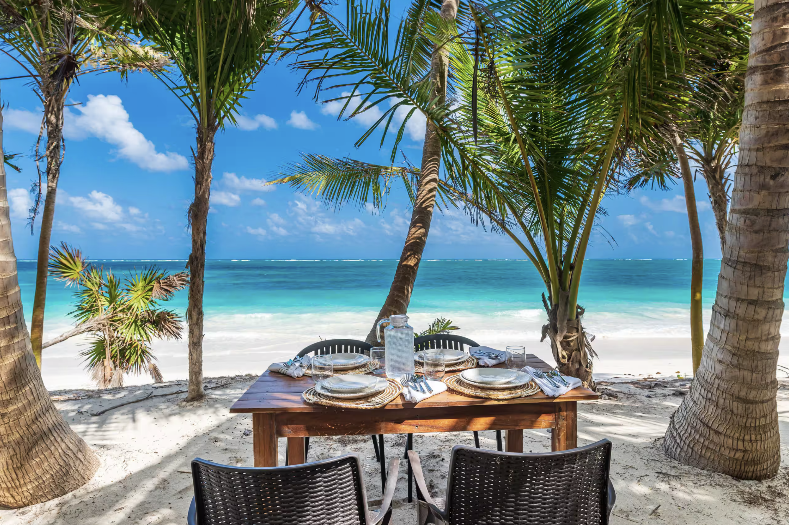 Beach dining beneath the palms