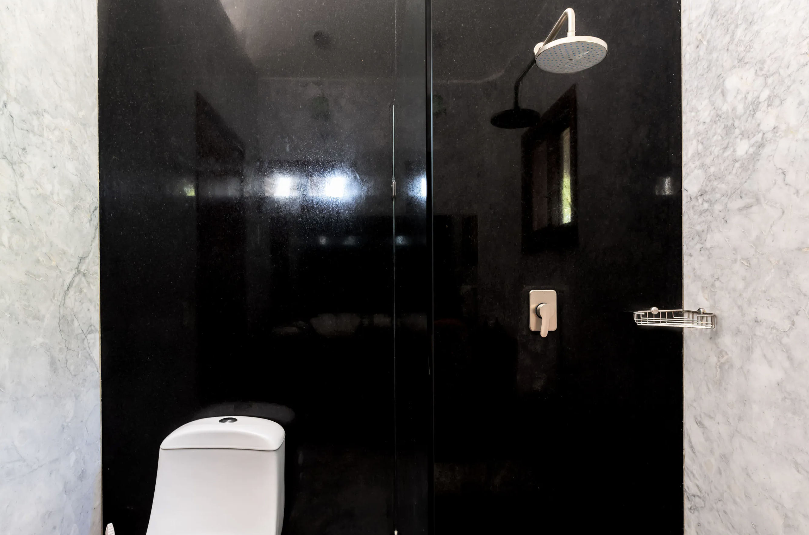 Walk-in shower detail
