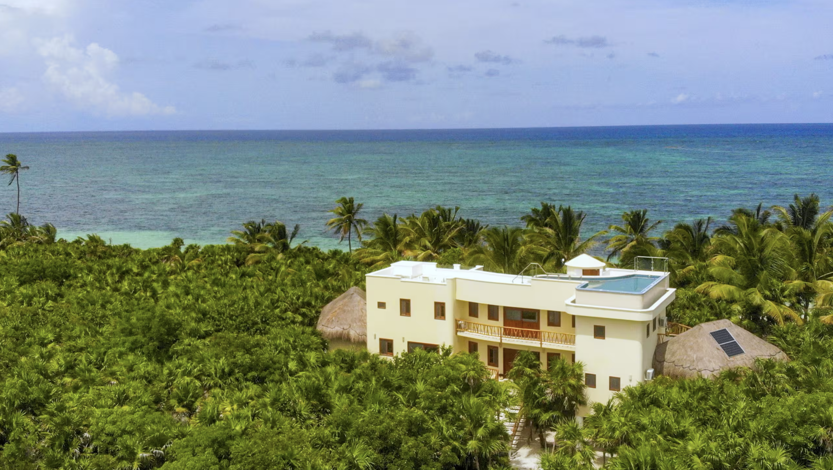 Aerial view of the villa in the palms