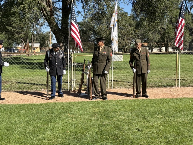 Avondale Veteran's Parade — three veterans in ceremonial rifle line