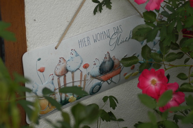 Schild