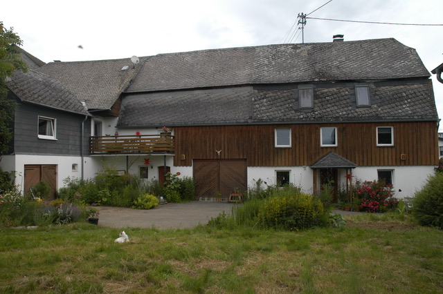 Straßenansicht mit Rosen