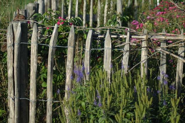 Holzzaun mit Blumen