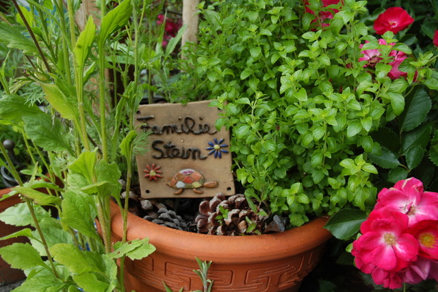 Garten Gesamtblick