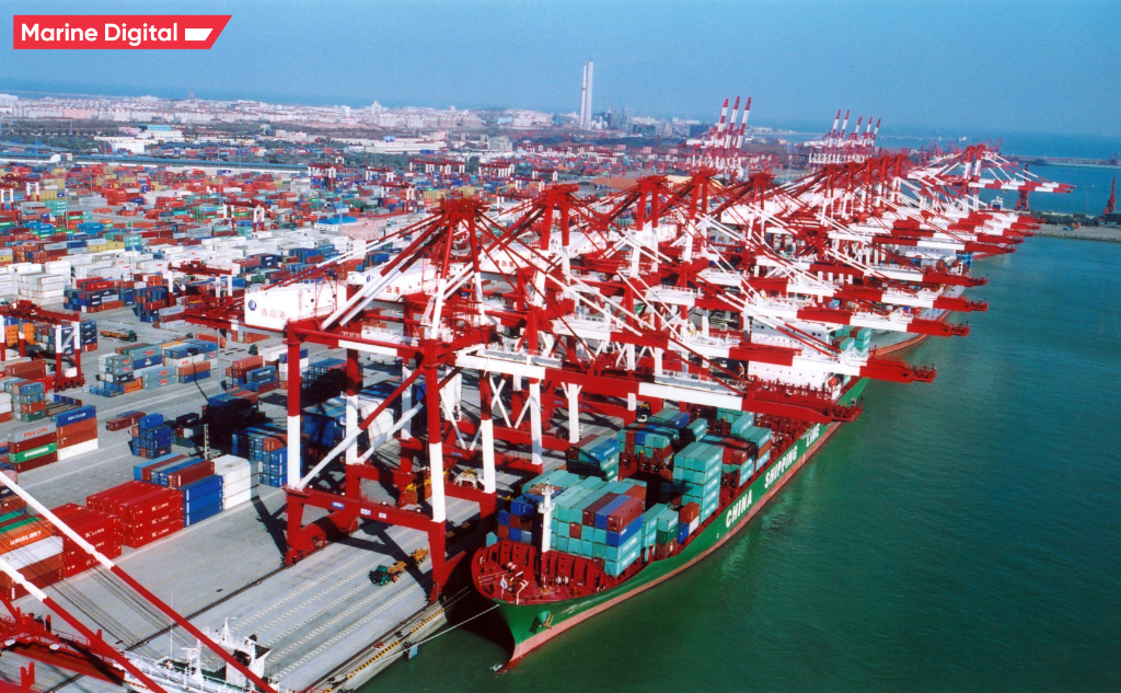 Port & Maritime