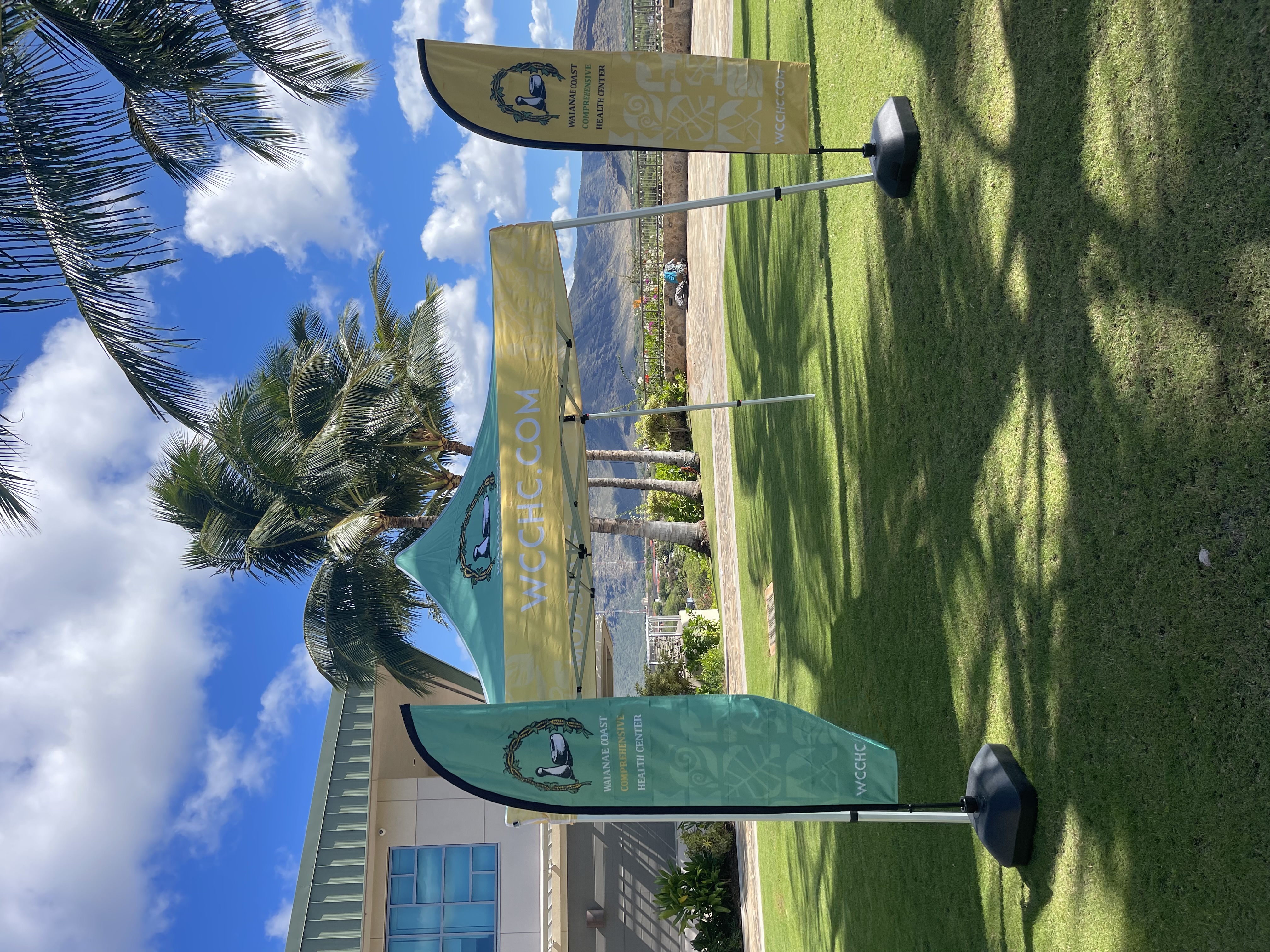 Signs & Displays