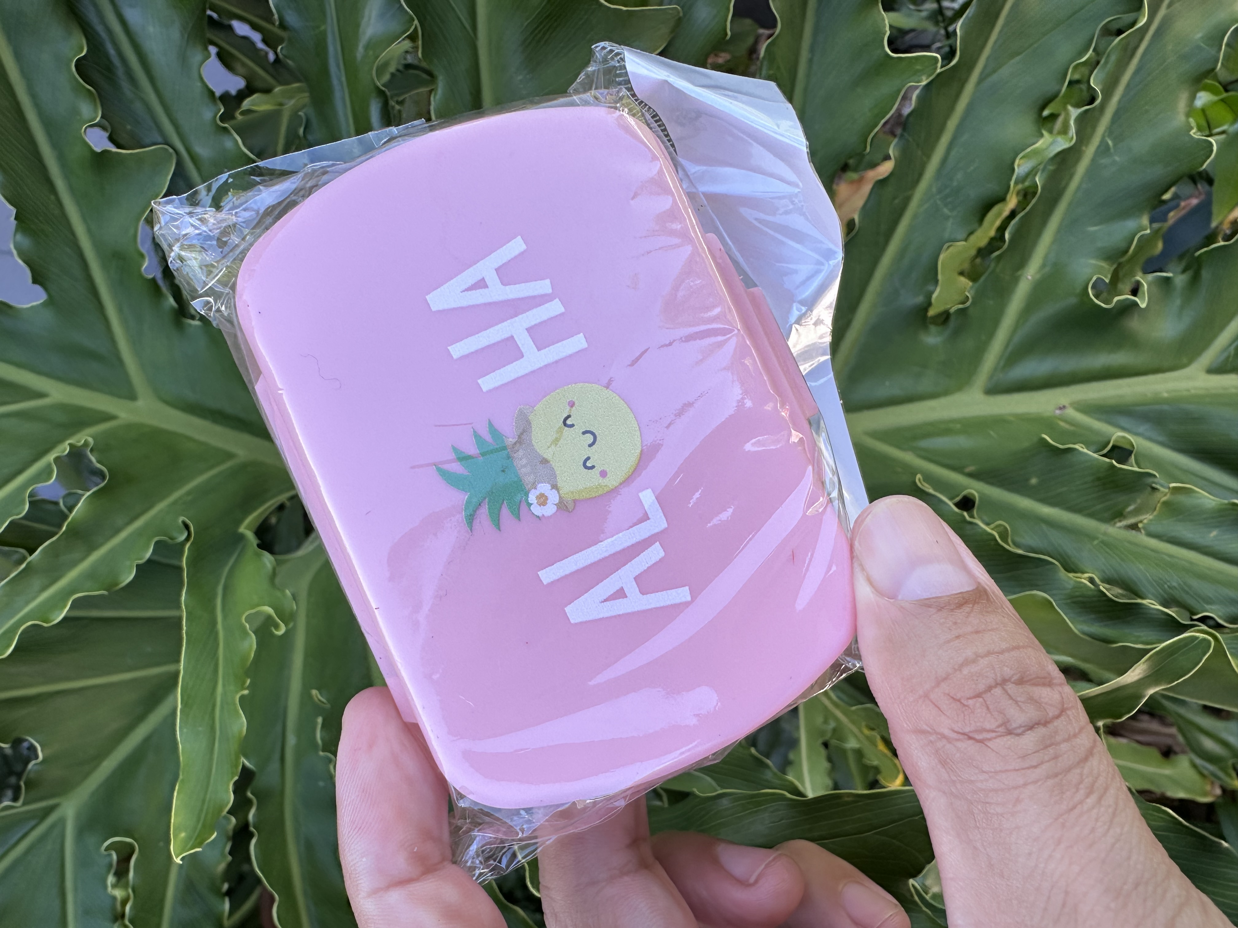 Pineapple Aloha Pill Box (Pink)