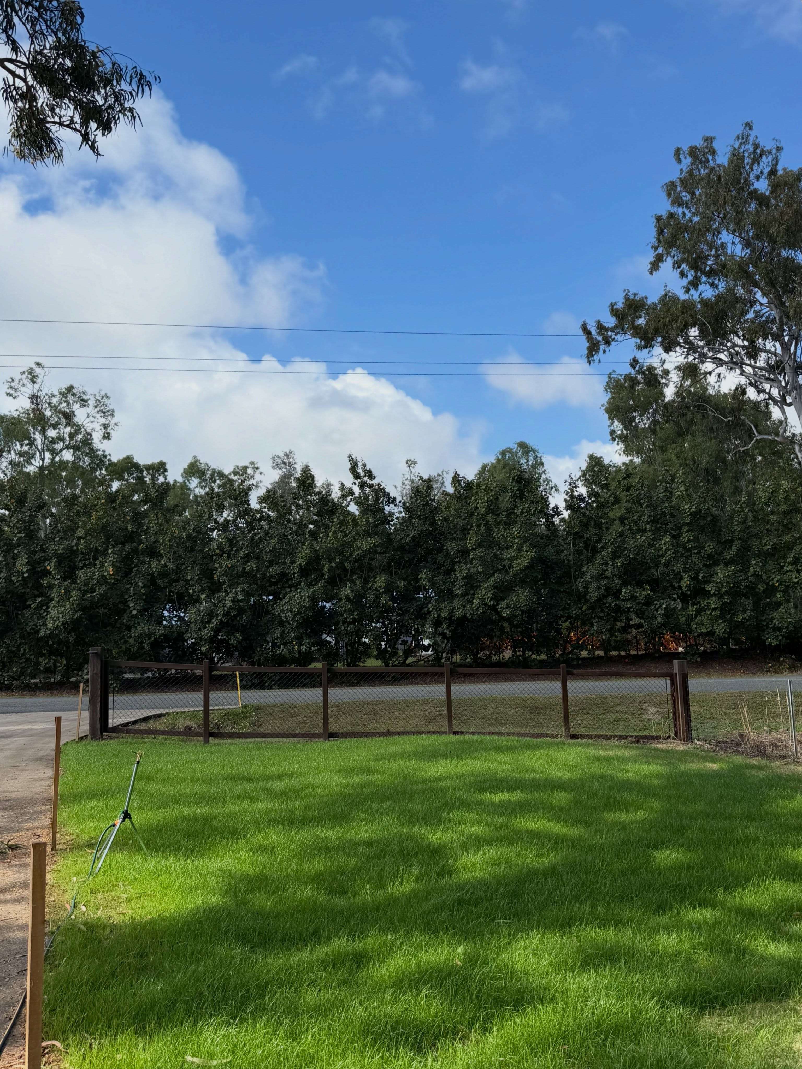 Residential lawn after hydroseeding