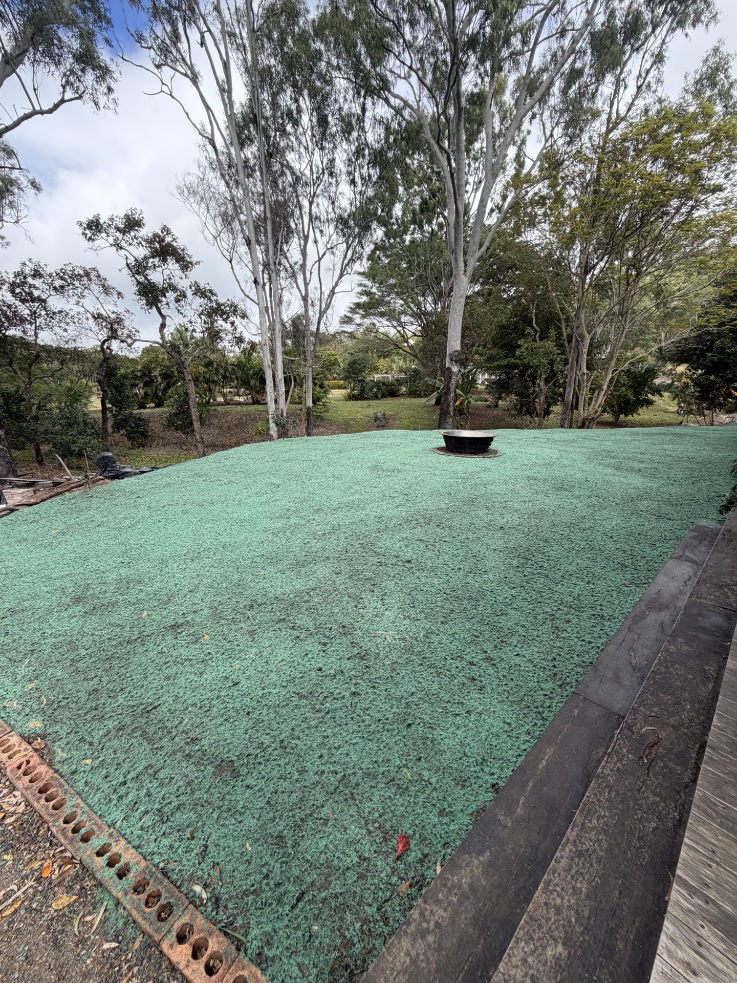 Residential lawn hydroseeding