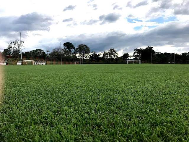 SLT Northshore Bermuda Grass grass