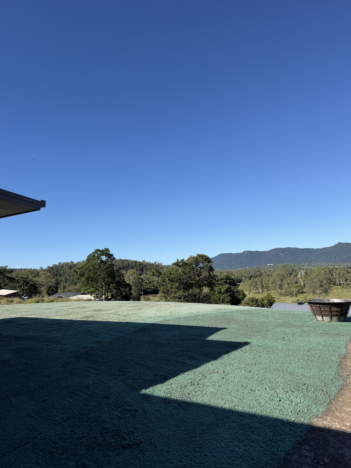 Erosion Control, Grass/Lawn establishment
