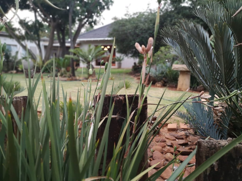 Investment Gardens landscape with cycads and indigenous plants