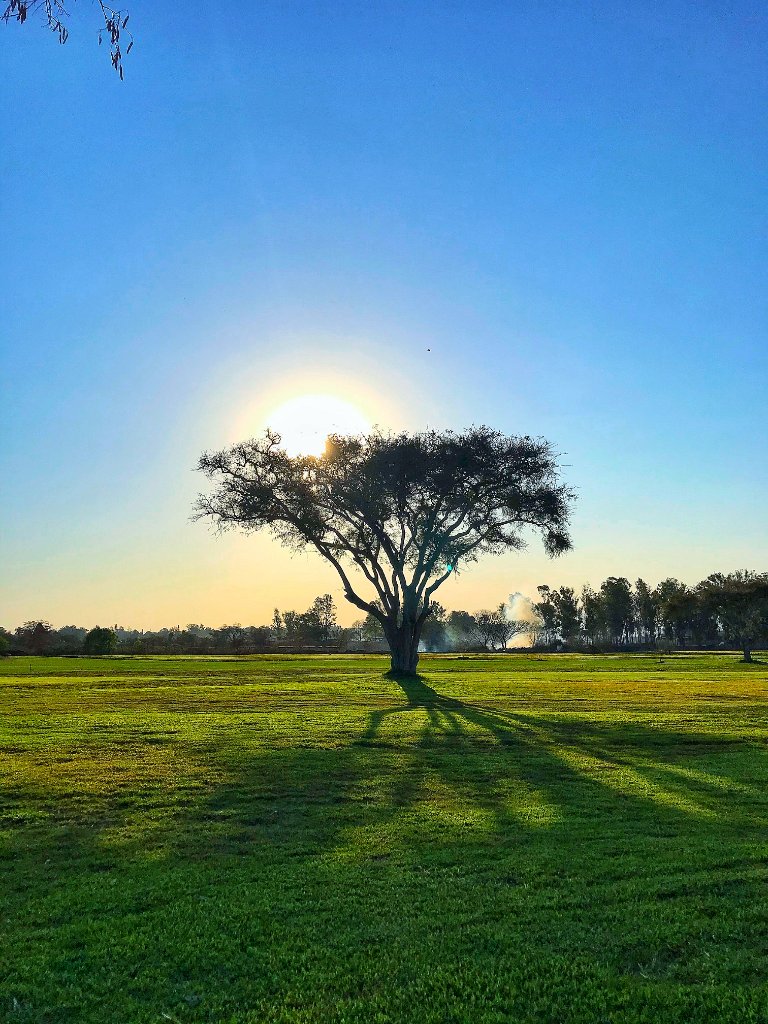Harare