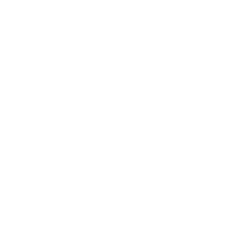 NovoPro logo