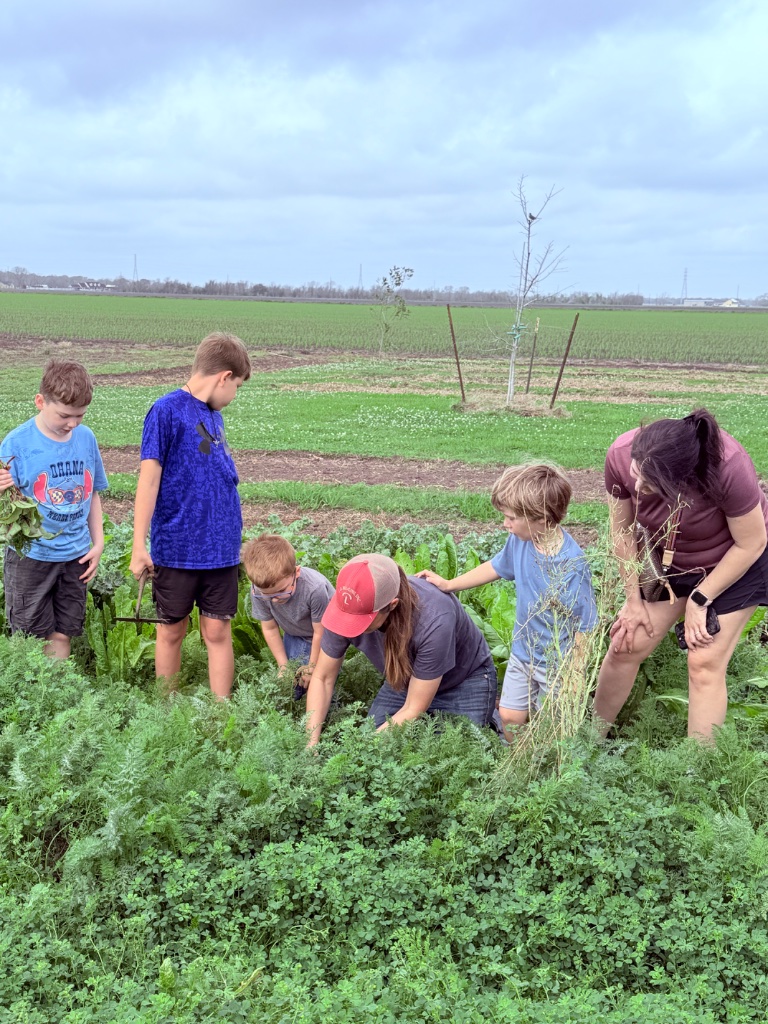 Children learning on Heart Rock Farm School at golden hour