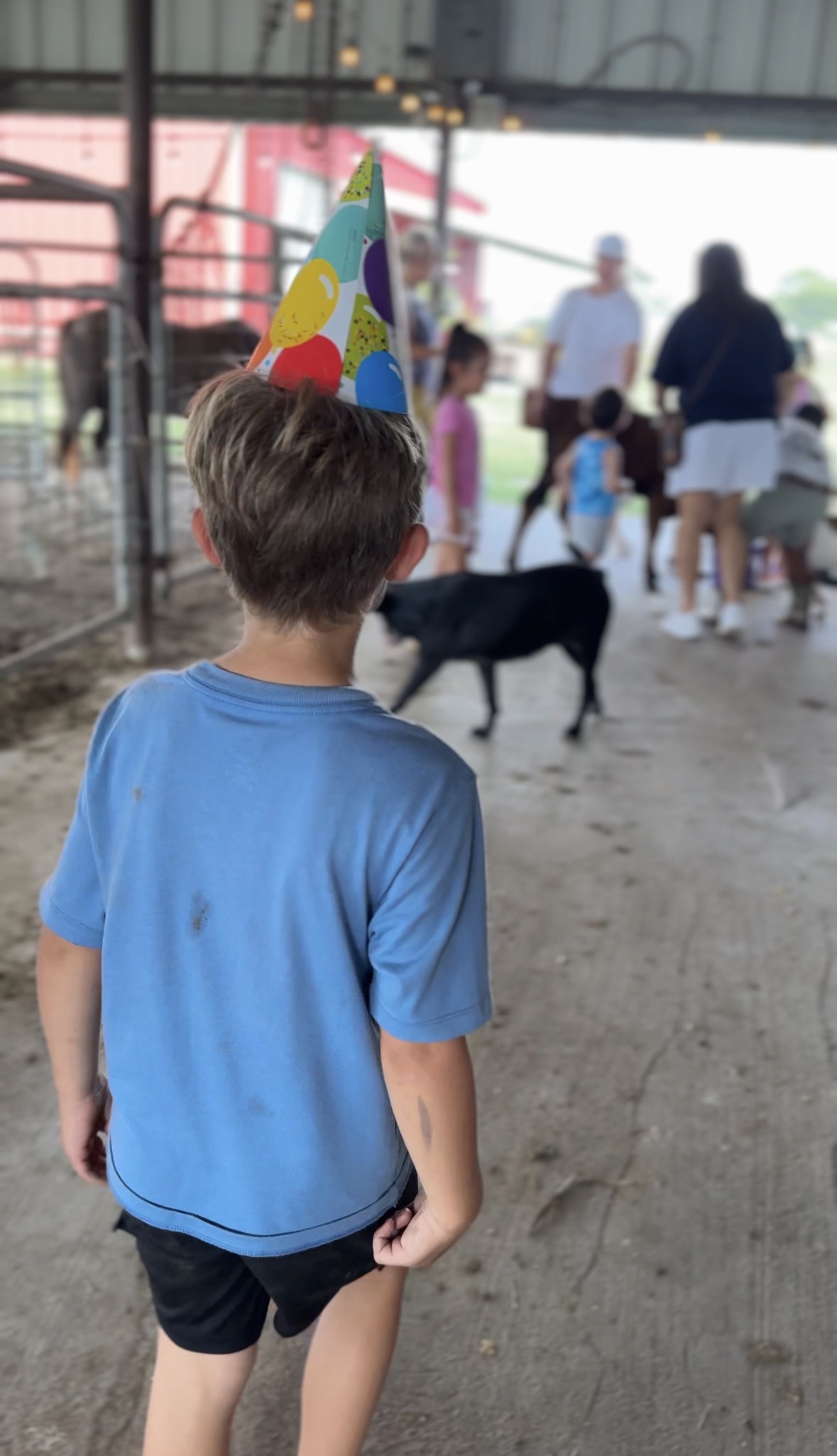 Boy in a party hat walking through the barn at a farm birthday party