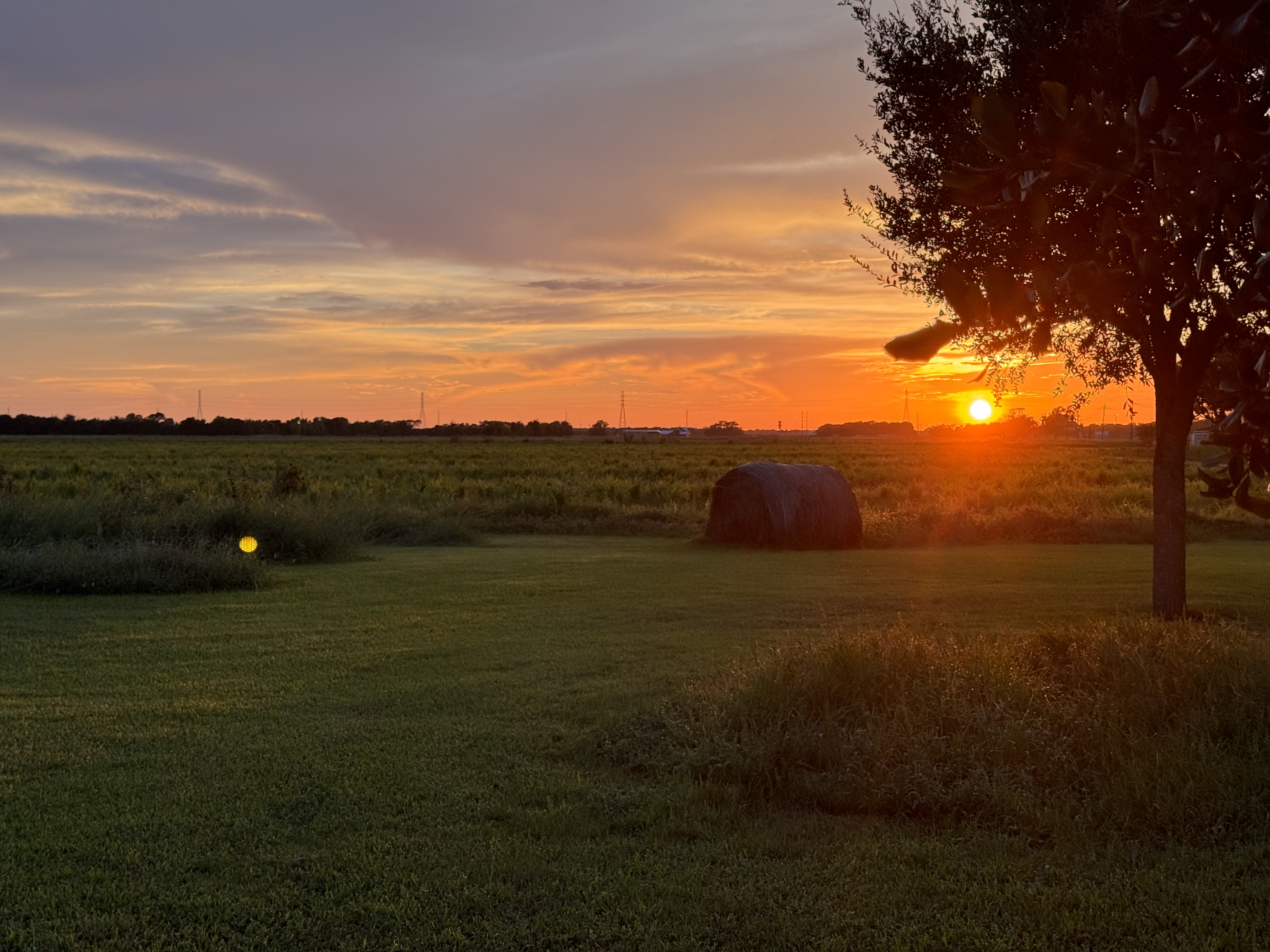 Golden sunset over a hay bale and silhouetted tree on the farm