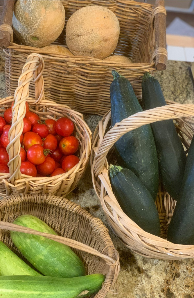 Fresh harvest baskets of tomatoes, zucchini and cantaloupe