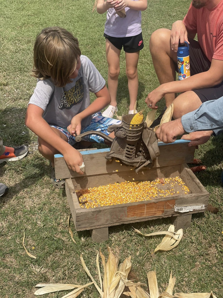 Child shelling corn with vintage hand-crank sheller