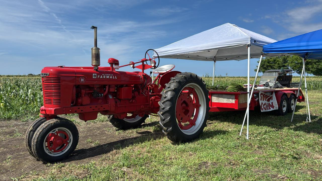 Classic red Farmall tractor at the corn stand